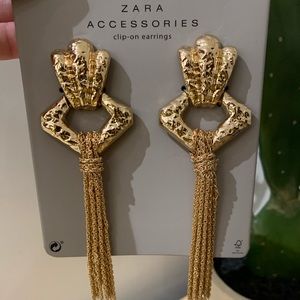 NWT Zara earnings